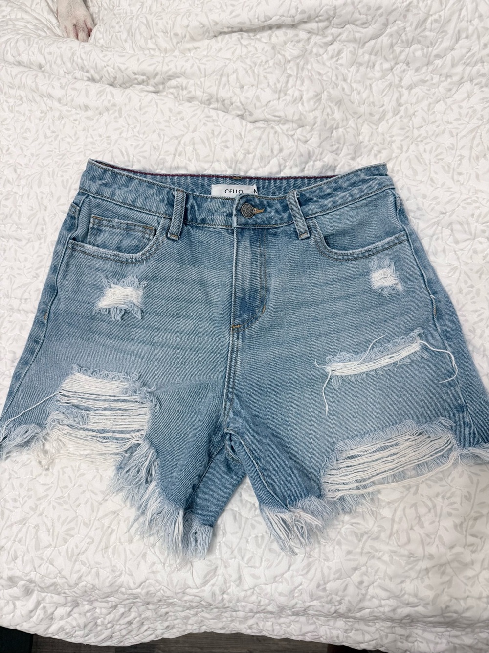 CELLO Jean shorts